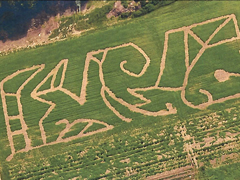 CornMaze15