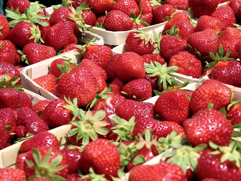 strawberries_2011_6